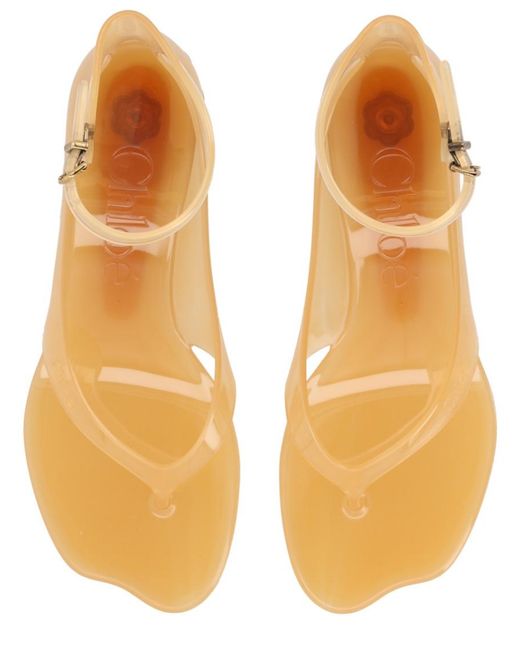 Chloé Natural Solid Jelly Sandals