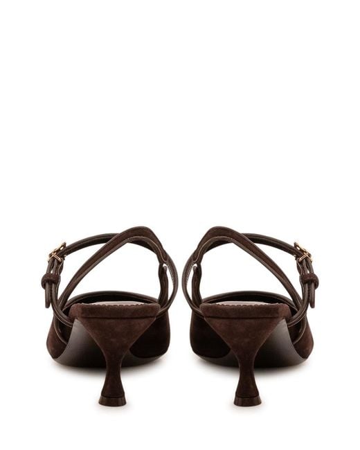 Dolce & Gabbana Brown Solid Collection Pumps