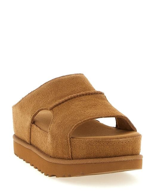 Ugg Brown Solid Slides