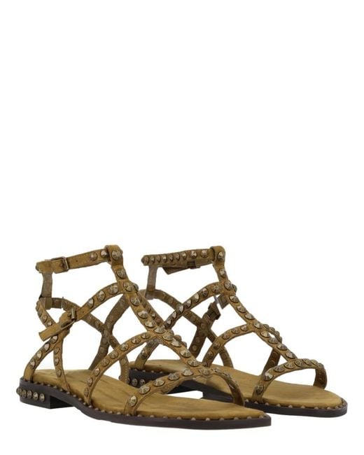 Ash Brown Studded Sandals