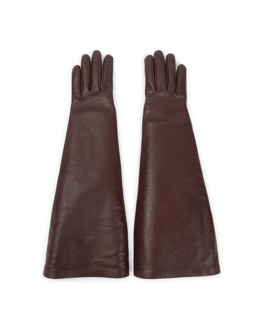 Saint Laurent Purple Solid Gloves
