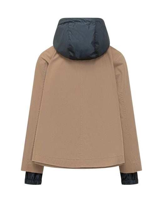 Herno Natural Solid Hood Jacket