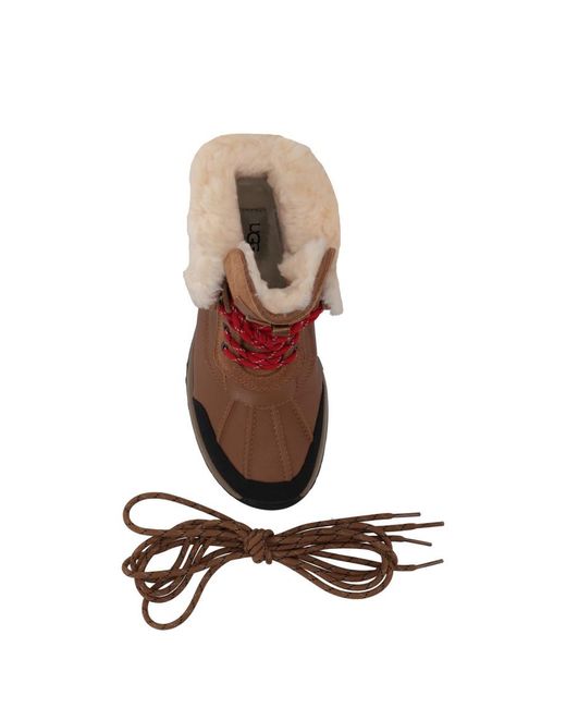 Ugg Brown Chestnut Solid Boots