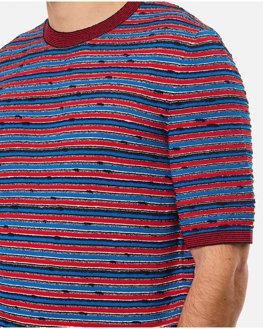 Bottega Veneta Blue Striped Pattern Crewneck T-Shirt for men