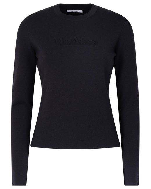 Max Mara Blue Viscose And Wool Sweater