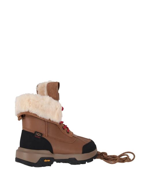Ugg Brown Chestnut Solid Boots