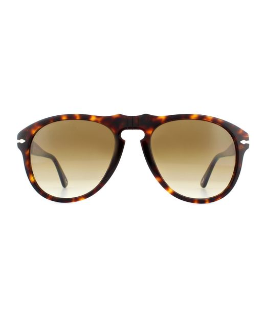 Persol Aviator Havana Brown Gradient Sunglasses for men
