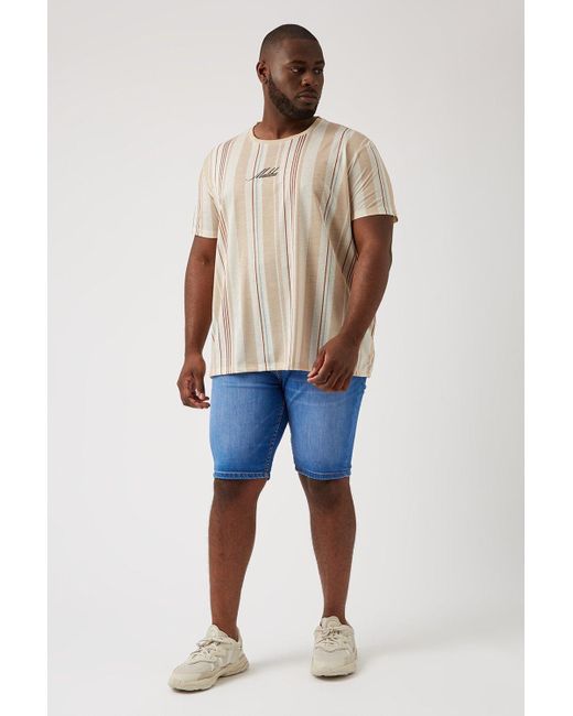 Burton Natural Plus And Tall Stone Malibu Stripe T Shirt for men
