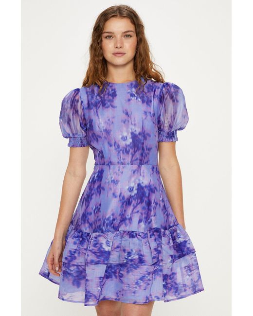 Oasis Purple Tonal Blurred Floral Organza Skater Dress