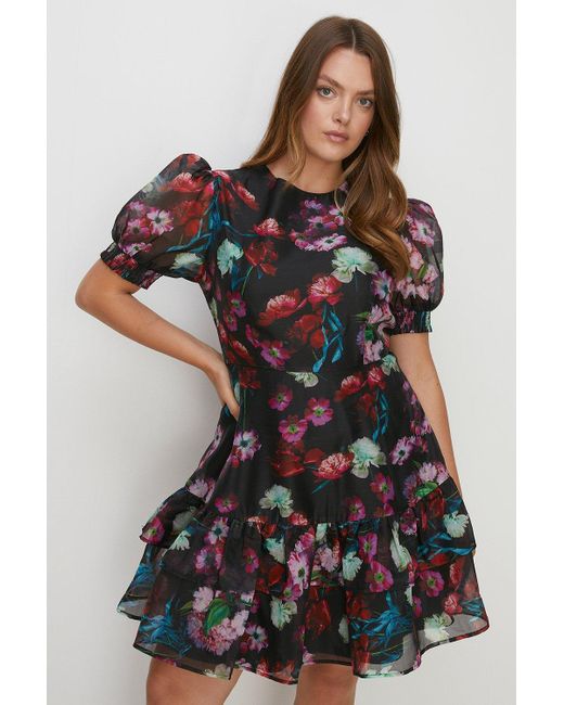 Oasis Black Plus Size Painted Floral Organza Dress