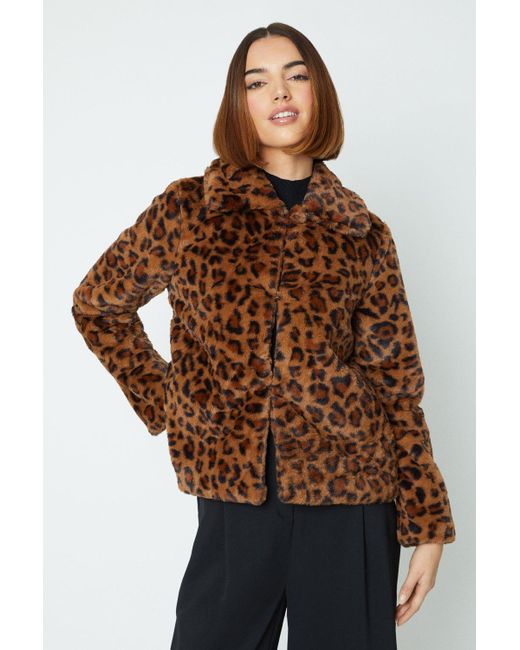 Oasis Brown Plush Animal Faux Fur Short Collared Coat