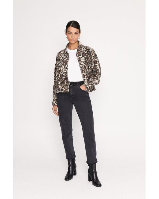 Oasis Blue Leopard Print Jacket