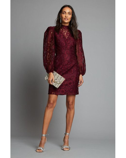 Dorothy Perkins Red Berry Lace High Neck Mini Dress
