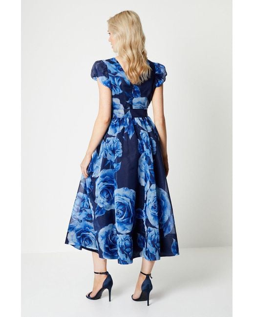 Coast dresses hotsell