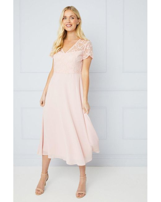 Wallis Pink Occasion Petite Lace Short Sleeve Midi Dress