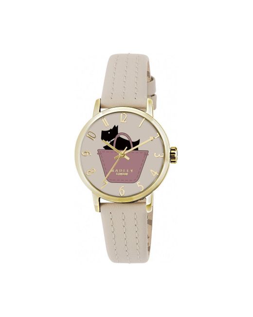 Radley White Border Plated Stainless Steel Fashion Analogue Quartz Watch - Ry2288s