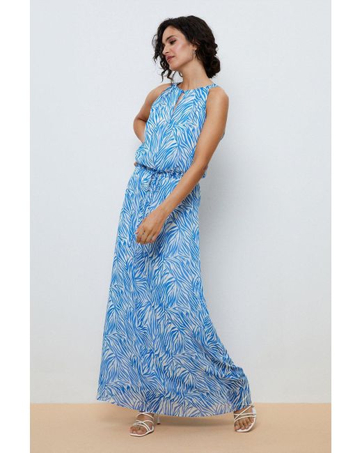 Wallis Blue Tall Zebra Print Halter Neck Maxi Dress