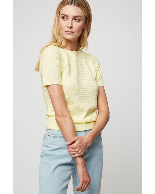 Dorothy Perkins Yellow Lemon Textured Knitted T-shirt