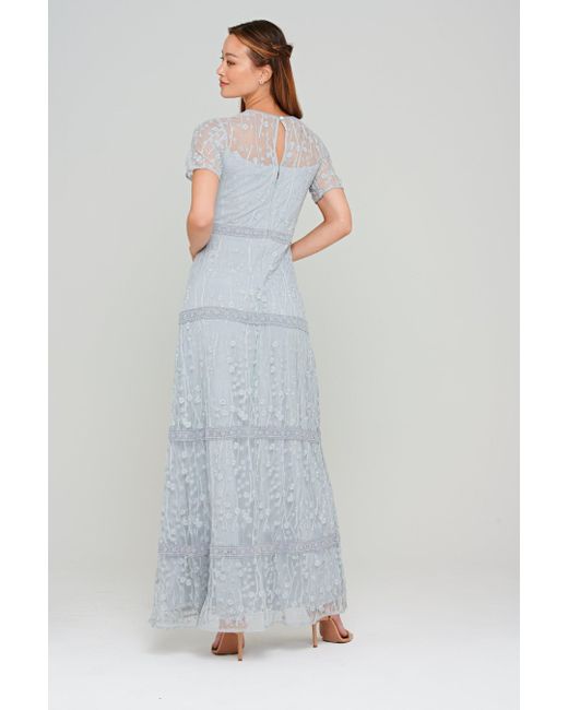 Amelia Rose Gray Embroidered Maxi Dress