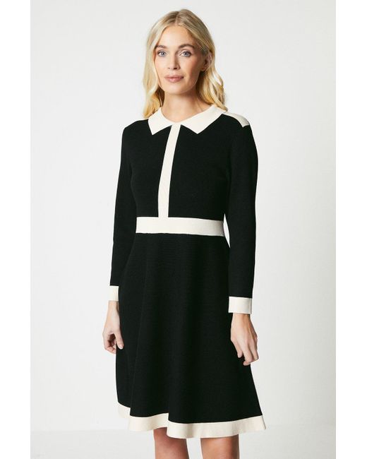 Wallis Black Petite Tipped Collar Knitted Dress