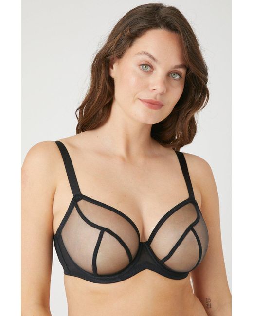 Gorgeous Dd+ 2 Pack Sheer Non Pad Plunge Bra in Black | Lyst UK