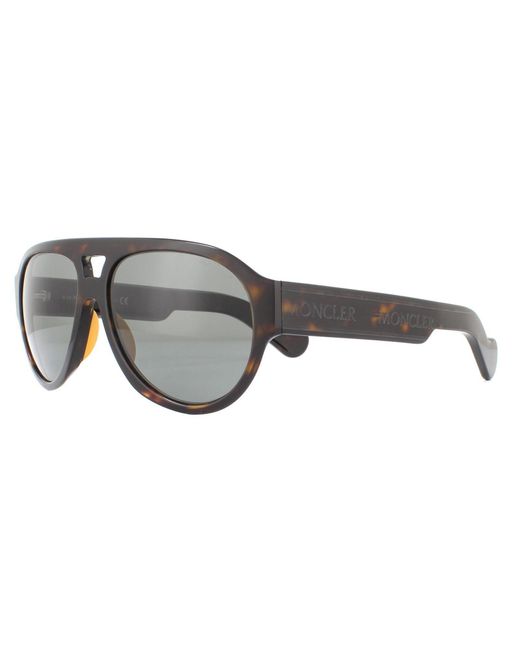 Moncler Gray Aviator Dark Havana Smoke Sunglasses for men