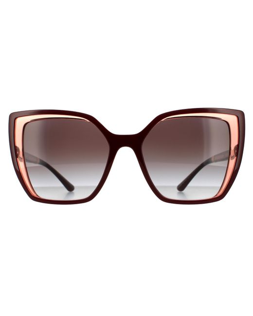 Dolce & Gabbana Brown Square Bordeaux On Transparent Grey Gradient Sunglasses