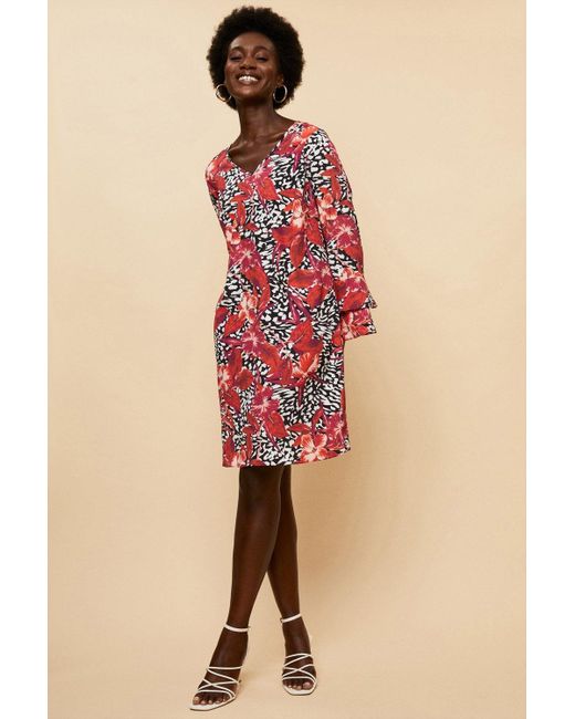 Wallis Ruffle Sleeve V Neck Floral Shift Dress in Red | Lyst UK