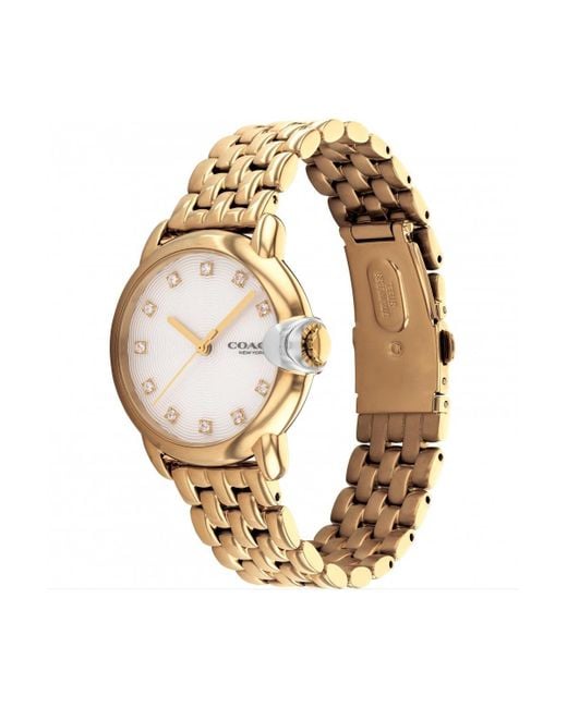COACH Metallic Arden Gold Plated Stainless Steel Fashion Analogue Watch - 14503819