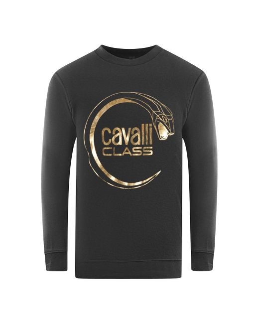 Class Roberto Cavalli Gray Piercing Snake Logo Black Sweatshirt for men