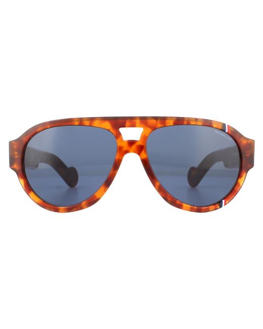 Moncler Aviator Havana Blue Sunglasses for men