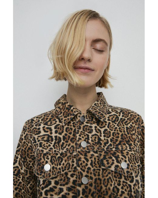 Warehouse Brown Denim Leopard Print Cropped Denim Jacket