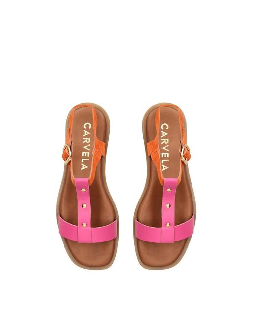 Carvela Kurt Geiger solar Leather Sandals in Pink Lyst UK
