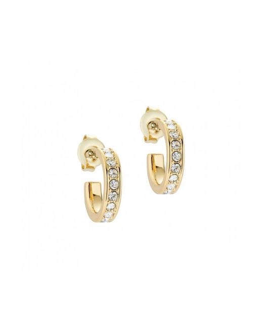 Ted Baker Metallic Pearlsi Earrings - Tbj2767-02-02