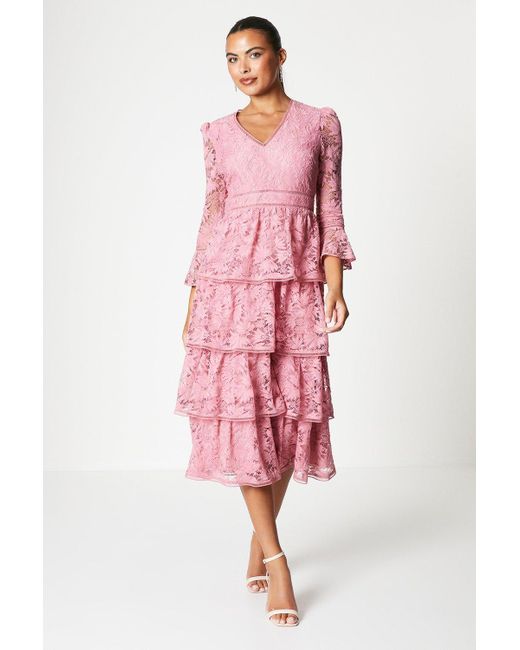 Coast Pink Layered Lace Dress With Ruffle Sleeve