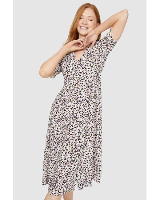 MAINE Brown Leopard Print V Neck Dress