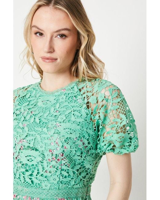 Oasis Green Occasion Floral Lace Bodice Pleated Midi Dress