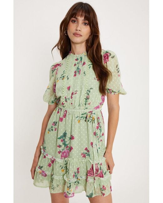 Oasis Green Lace Trim Floral Chiffon Skater Dress