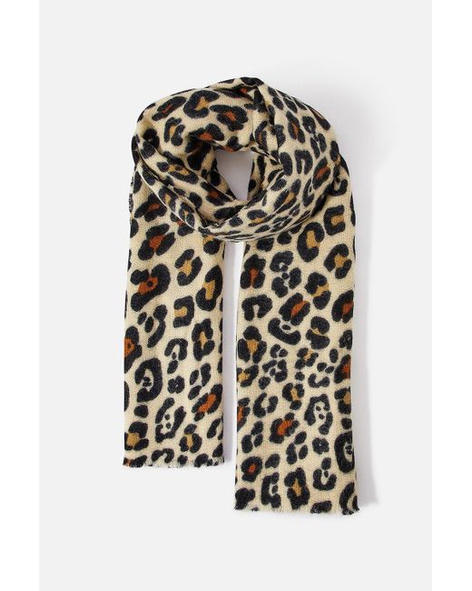 Accessorize White 'lou' Leopard Super Soft Blanket Scarf