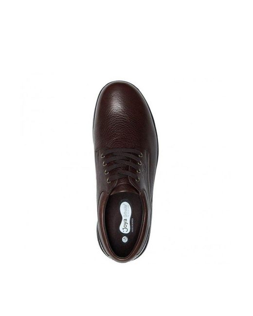 Joya Brown Mustango Ii Standard Fit Men's Leather Lace Up Formal Shoe for men