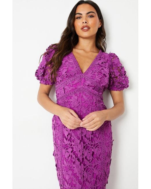 Coast Purple Lace V Neck Pencil Dress With Puff Sleeve