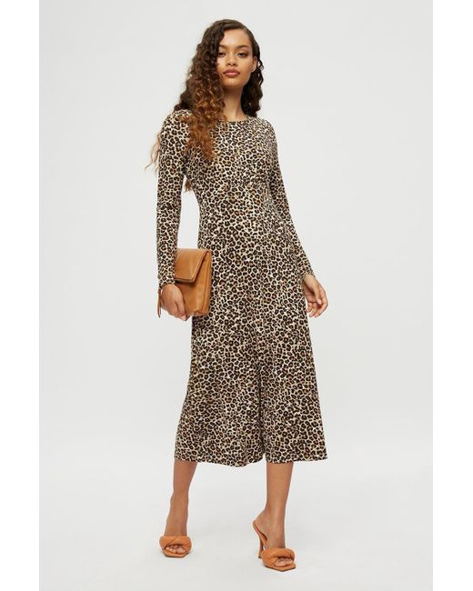 Dorothy Perkins Brown Petite Leopard Print Empire Seam Midi Dress