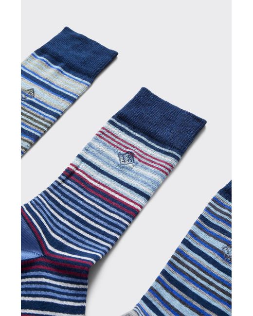 Burton Blue 3 Pack 1904 Striped Socks for men