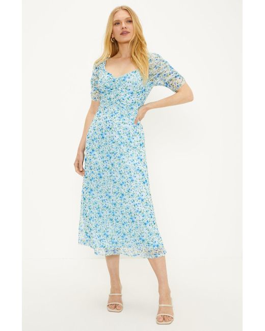 Oasis ditsy print 2025 skater dress