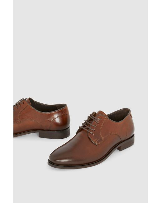 Red Herring Brown Plain Toe Leather Derby for men