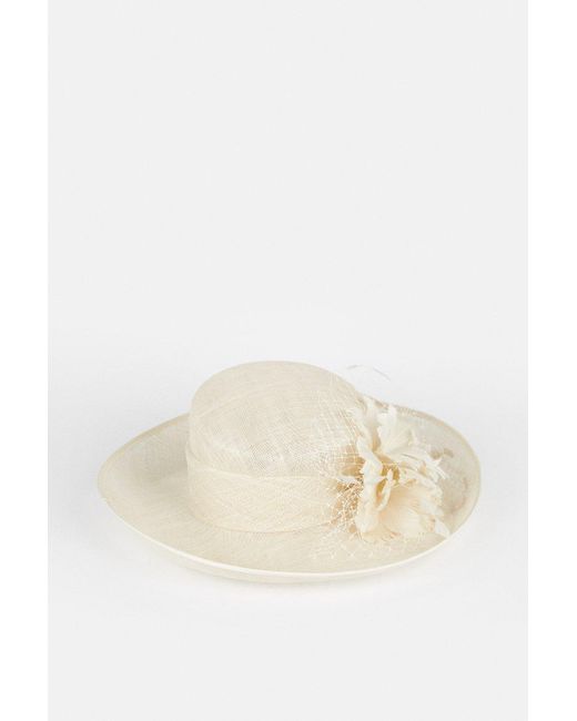 Coast White Premium Feather Flower Hat