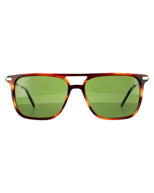 Ferragamo Square Striped Brown Solid Green Sunglasses for men