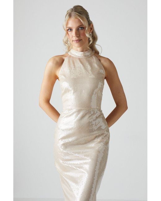 Coast White Glass Sequin Halterneck Column Gown