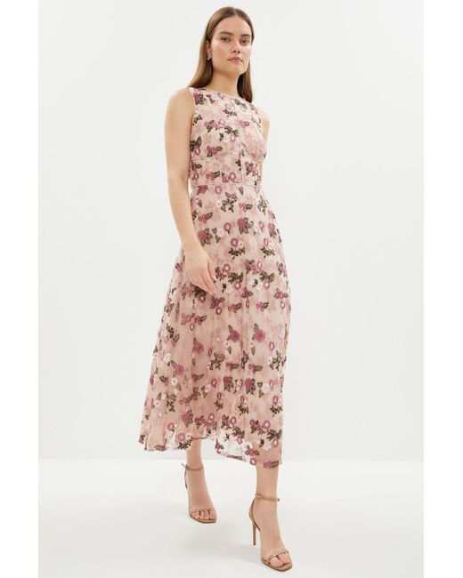 Coast Pink Embroidered Mesh Tipped Bodice Midi Dress