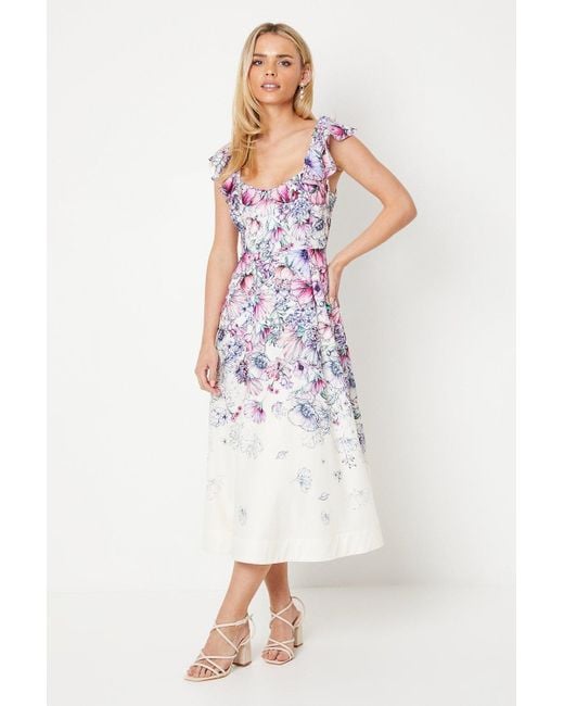 Coast White Petite Ruffle Shoulder Cotton Midi Dress In Floral Print